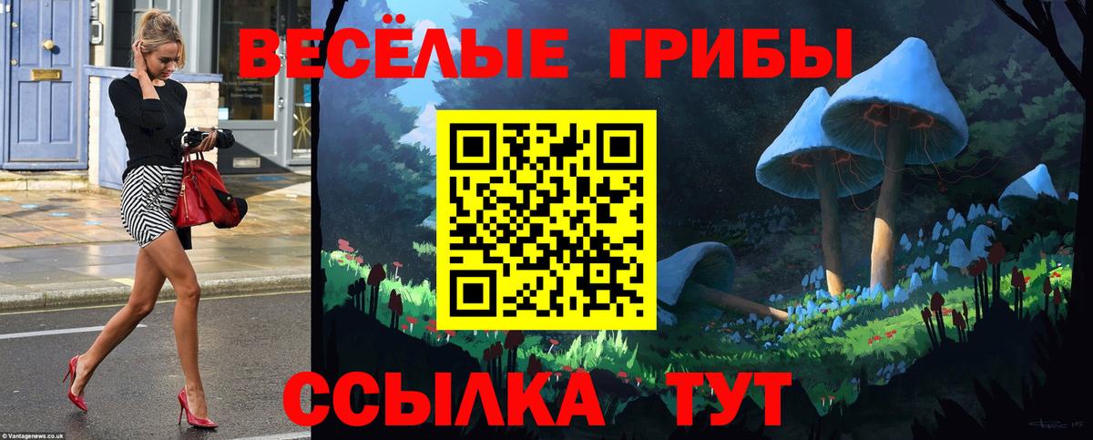 Псилоцибиновые грибы Psilocybe  Вход с VPN  Псилоцибиновые грибы Cubensis  Кемерово 